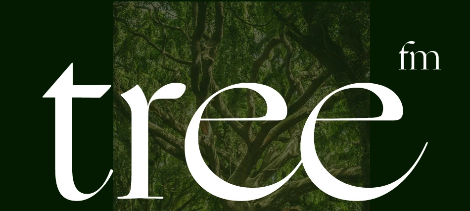 Logo von Tree.fm