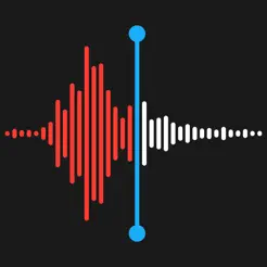 Logo von Voice Memos